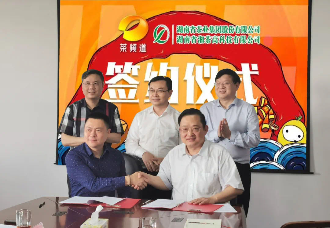 院士見證，輕輕茶發(fā)力品牌建設(shè)，與茶頻道達(dá)成深度合作